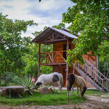 Oca Tocarijus Eco Resort Piracuruca Eksteriør bilde