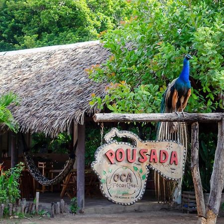Oca Tocarijus Eco Resort Piracuruca Eksteriør bilde