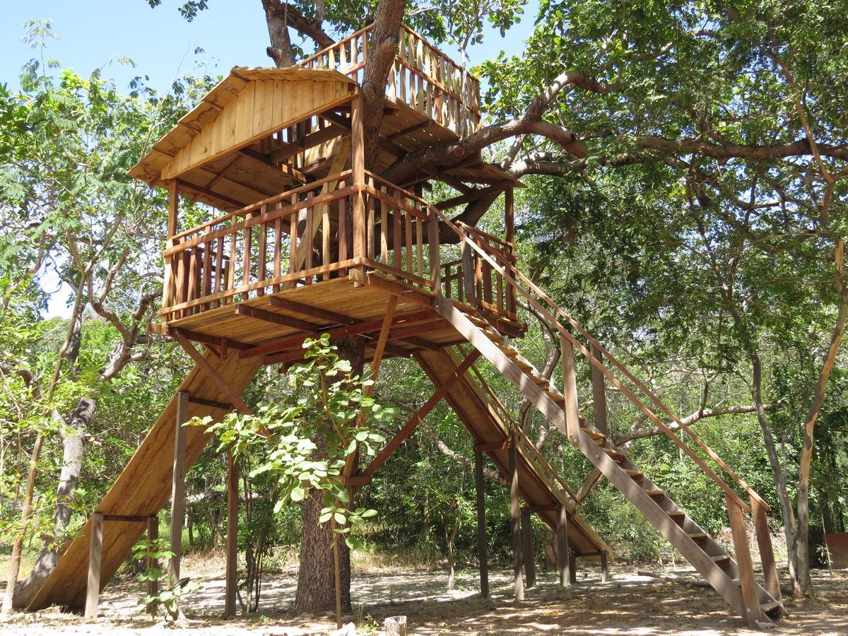 Oca Tocarijus Eco Resort Piracuruca Eksteriør bilde